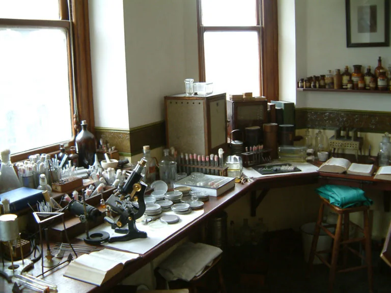 Learn the story of Alexander Fleming's discovery of penicillin