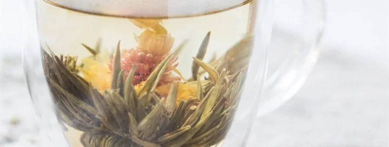 Living Medicine: Digestive Discomforts